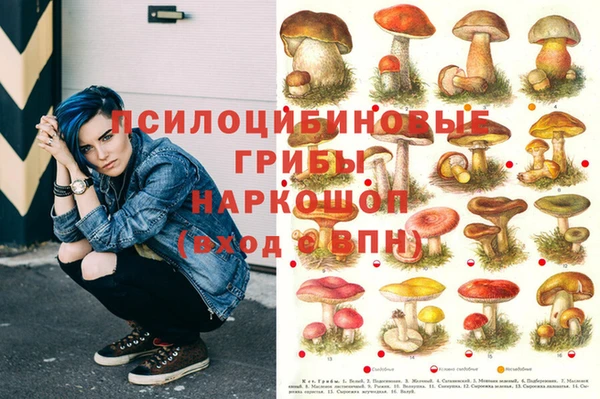 MDMA Карпинск