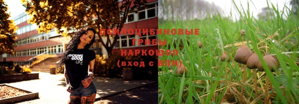 MDMA Карпинск