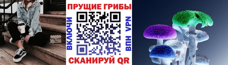 Галлюциногенные грибы ЛСД  Купить закладки  Грязовец 