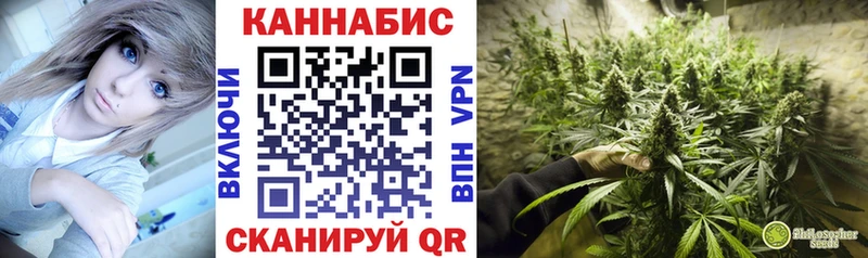 Купить где  Грязовец  Бошки Шишки VHQ 